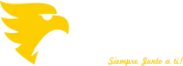 Lopez Auto Insurance and Tax